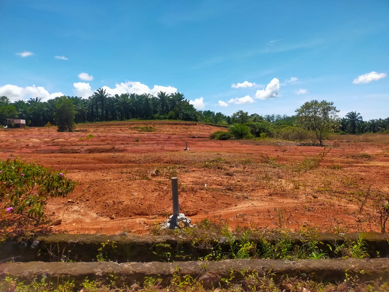 Kavling Tanpa DP Bengkulu - Cicilan 42x Tanpa Bunga