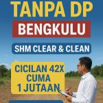 WhatsApp Image 2025-11-03 at 11.20.40